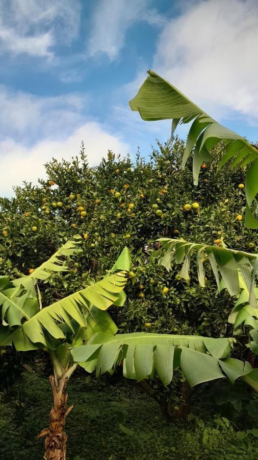 Casa L&M Διαμέρισμα Lajes das Flores Εξωτερικό φωτογραφία