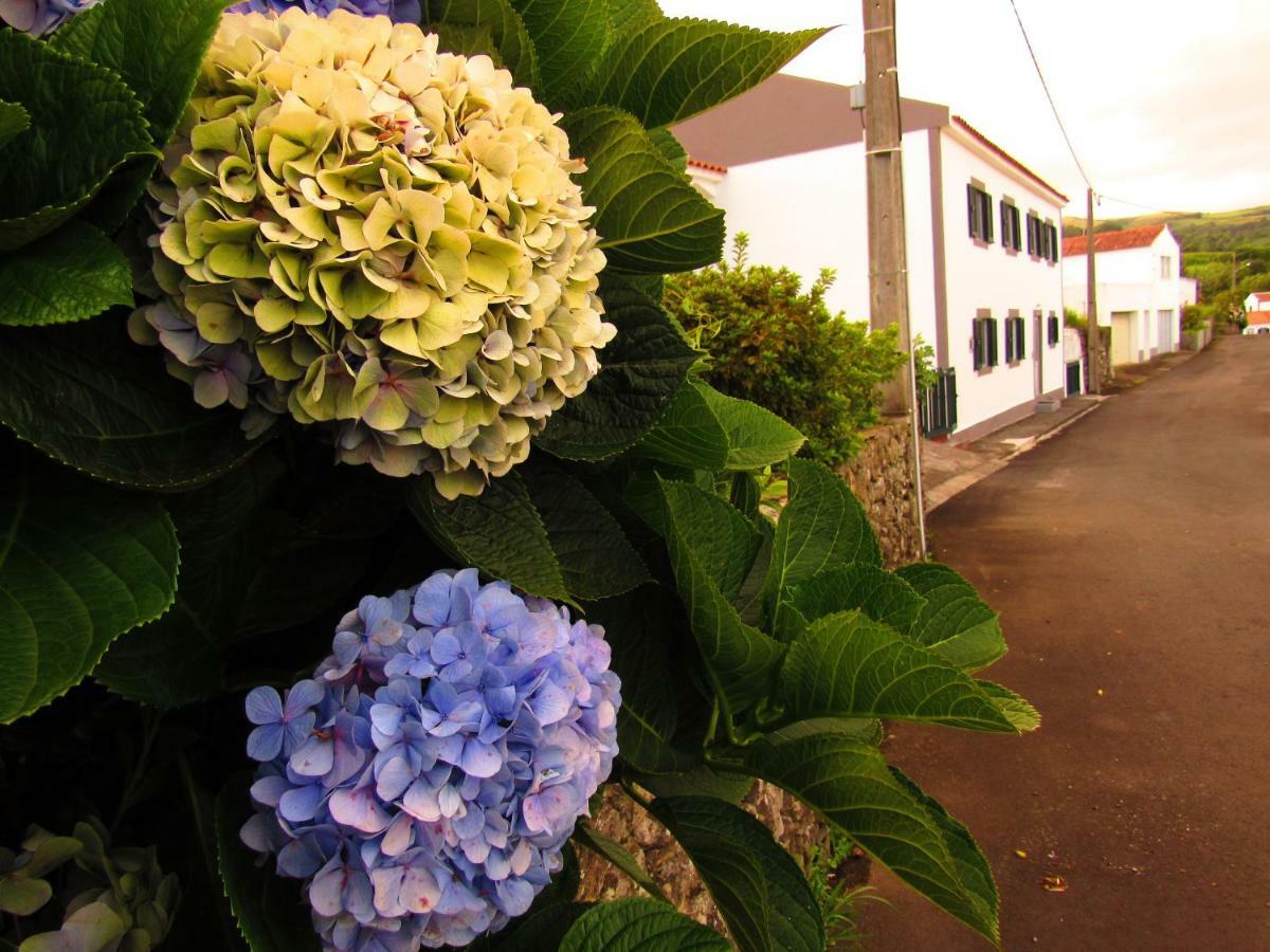 Casa L&M Διαμέρισμα Lajes das Flores Εξωτερικό φωτογραφία